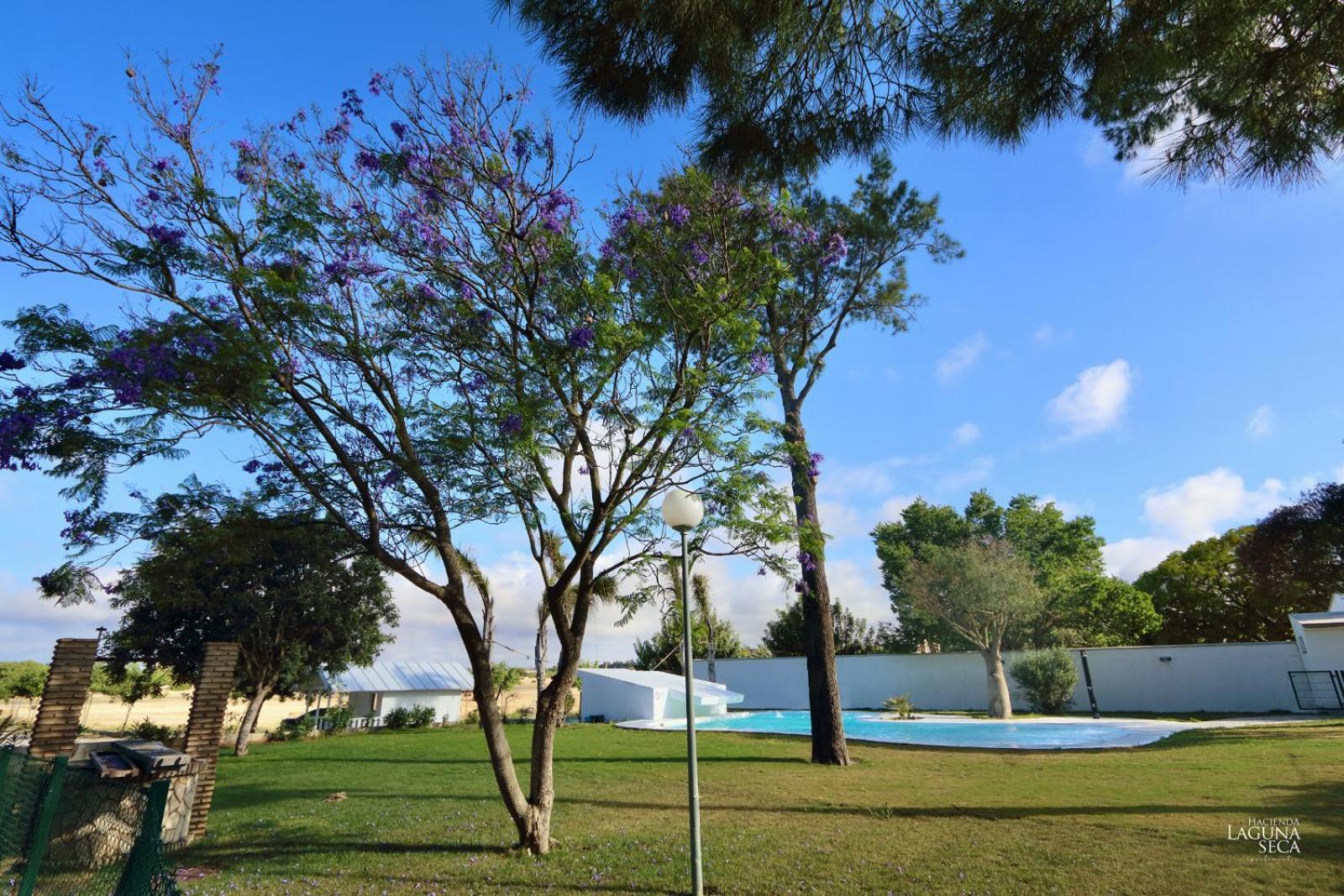 Hacienda Laguna Seca Chiclana de la Frontera Exterior foto